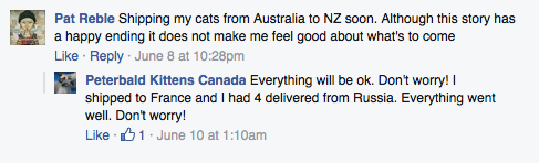 Screen Shot 2015-06-16 at 2.23.31 PM