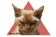 Screen Shot 2015-11-20 at 12.46.03 PM