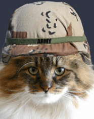 Screen Shot 2016-04-11 at 3.54.42 PM